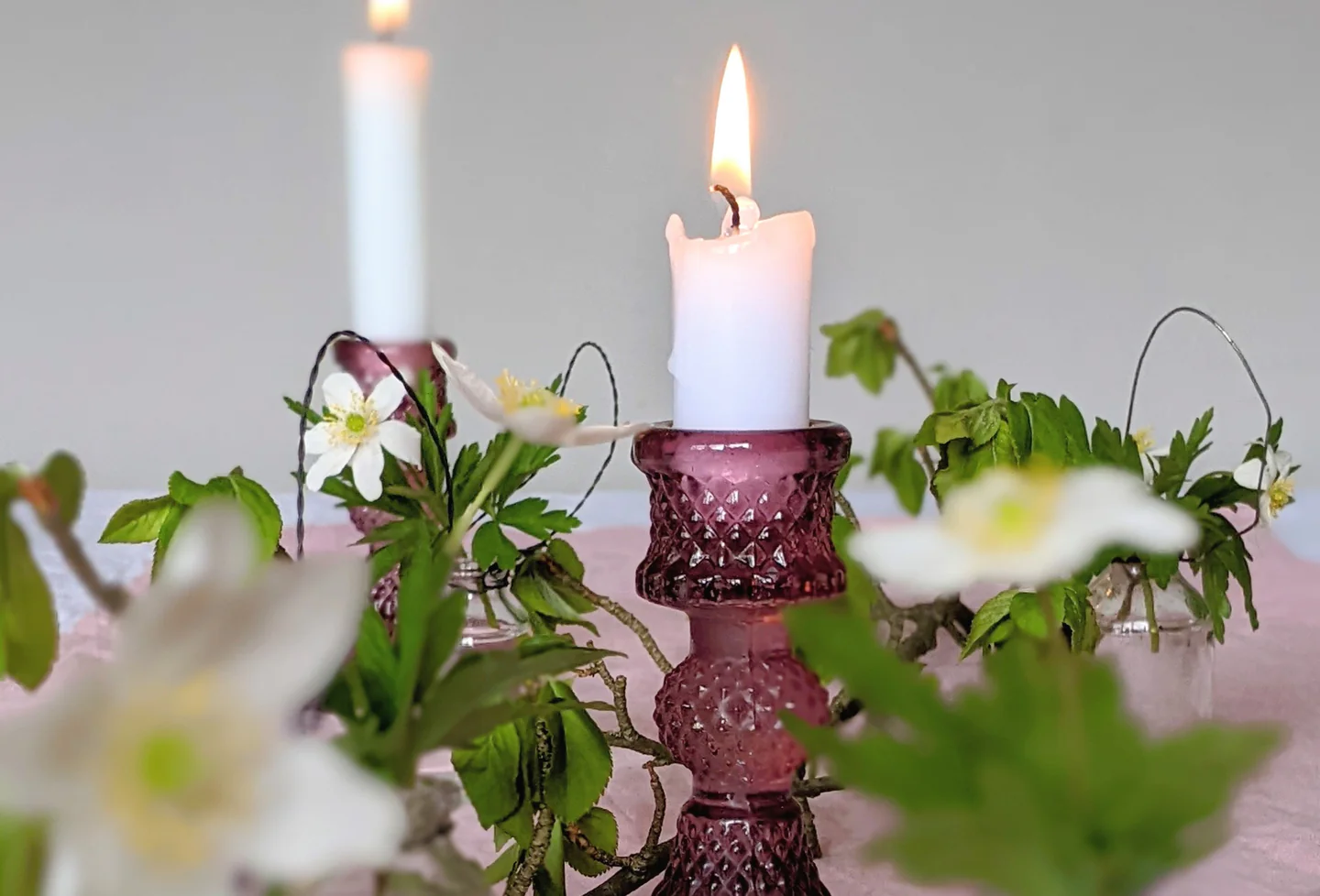 collection-banner-image